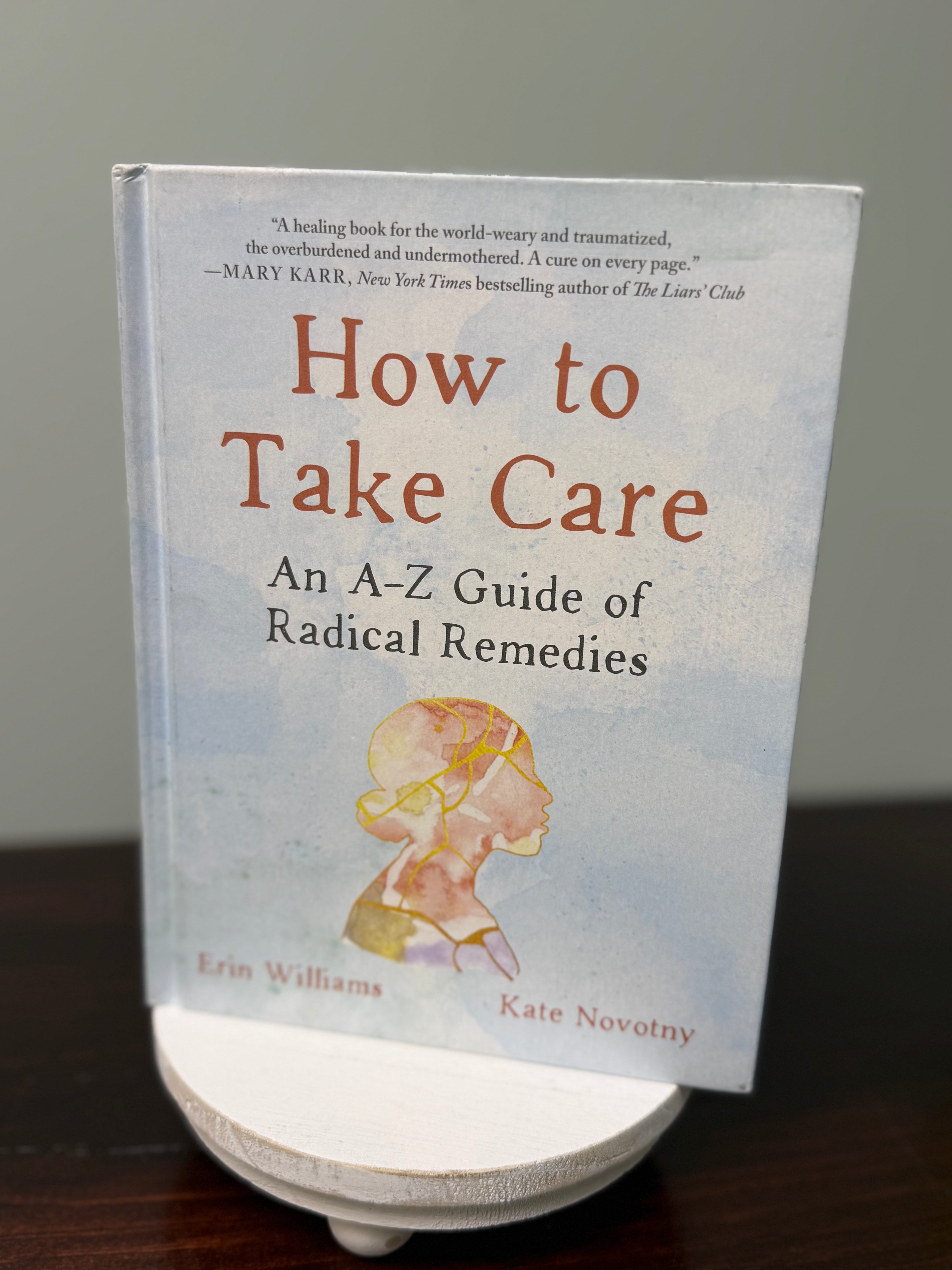 How to Take Care - Erin Williams & Kate Novotny