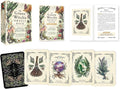 The Green Witch's Oracle Deck: Embrace the Wisdom and Insight of Natural Magic