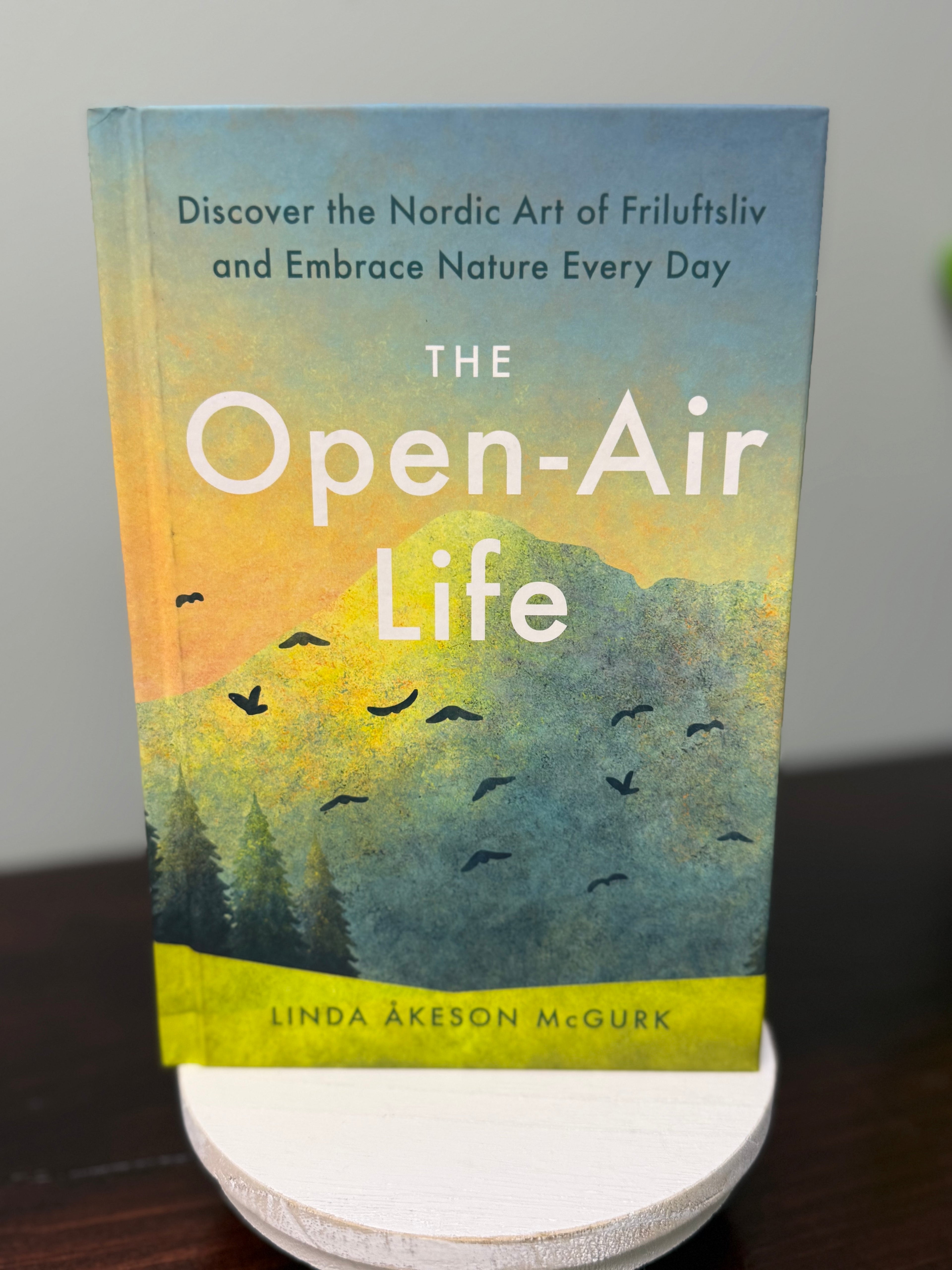 Open Air Life - Linda Akeson McGurk