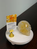 Golden Healer Quartz Skull