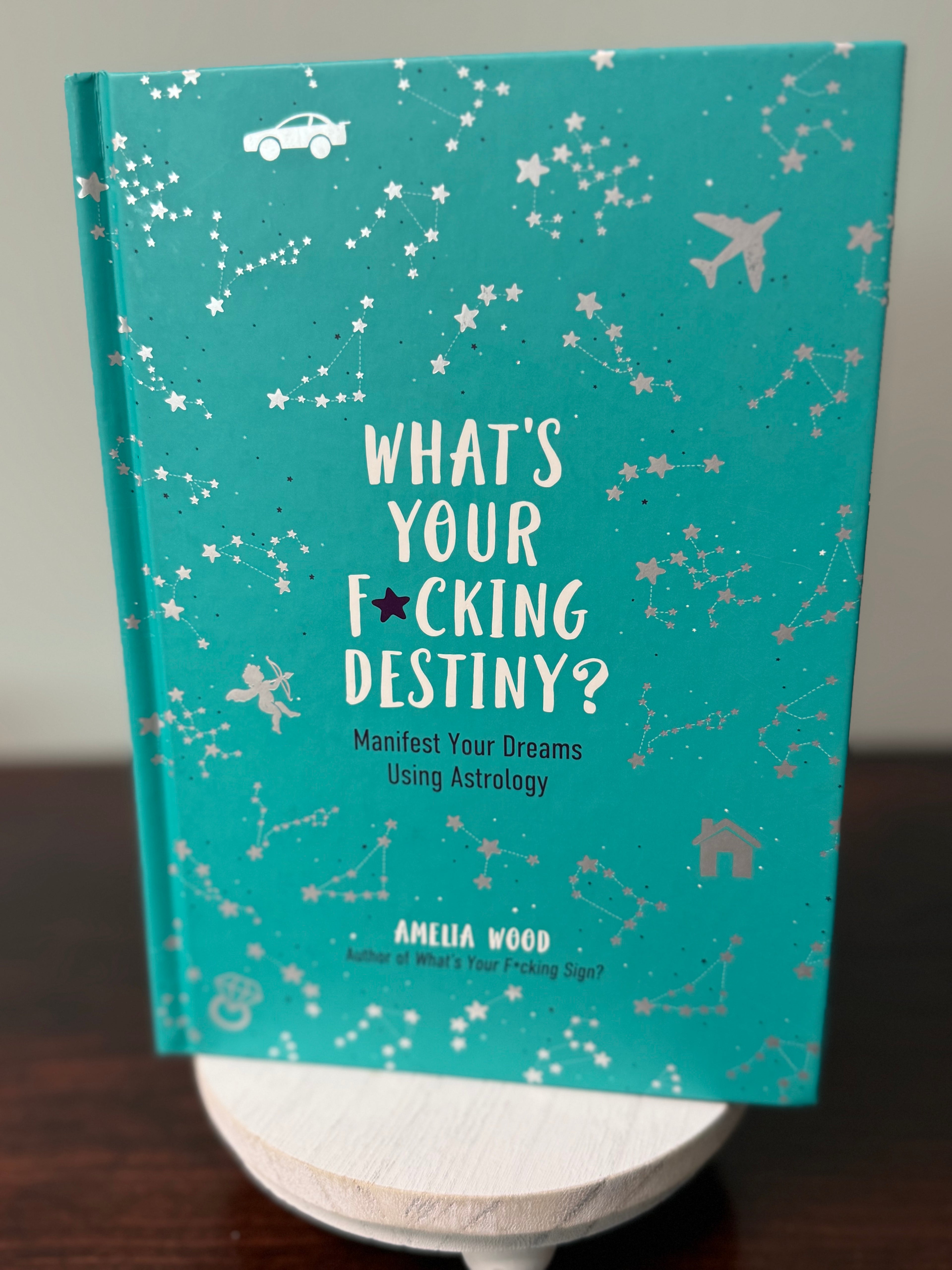 What’s your F*ucking Destiny - Amelia Wood