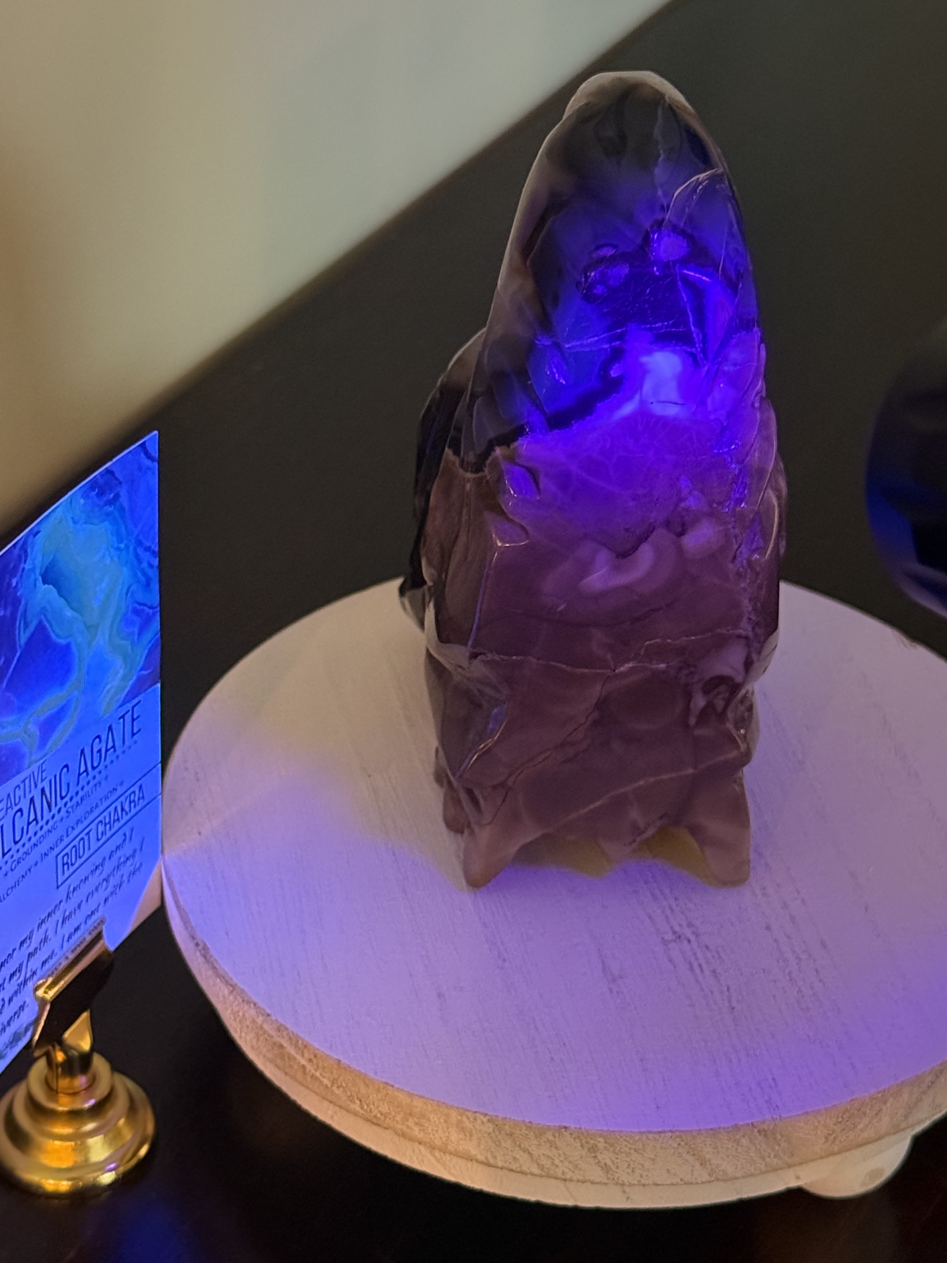 Volcanic Agate Dragon Skull -UV-